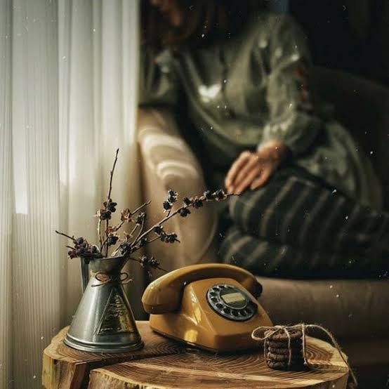 عکس های پر طرفدار