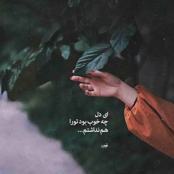  عکس های پر طرفدار