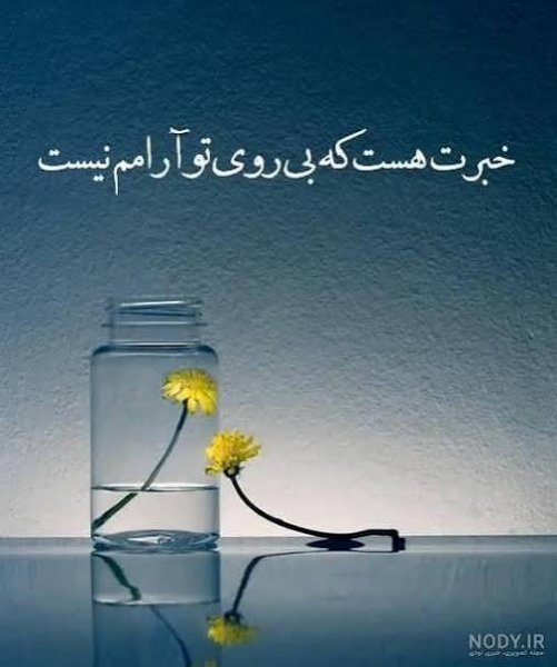  عکس های پر طرفدار