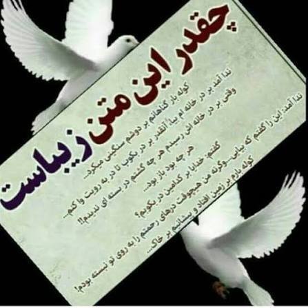  عکس های پر طرفدار