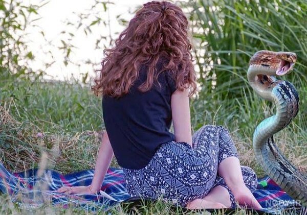  عکس مار برای پروفایل دخترونه