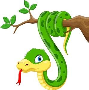  عکس مار کیوت