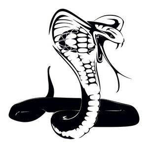  عکس مار کارتونی ساده