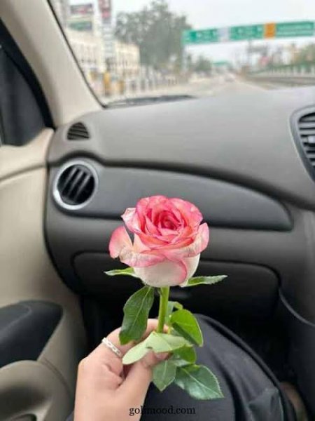  عکس ترند امسال برای پروفایل
