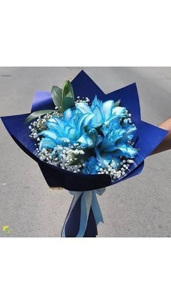  عکس گل لیلیوم آبی