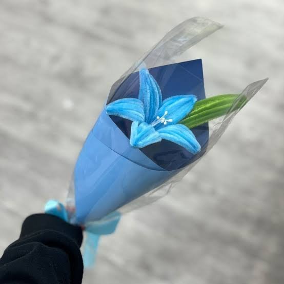  عکس گل لیلیوم آبی