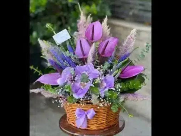  عکس گل لیلیوم بنفش