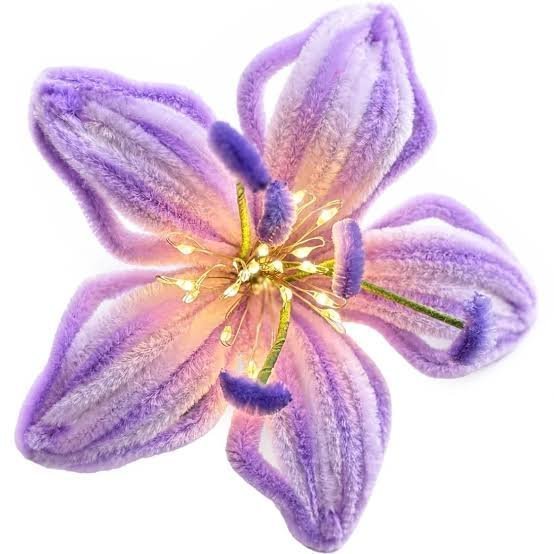  عکس گل لیلیوم بنفش
