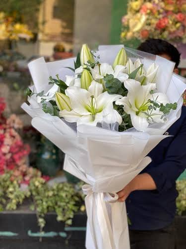  عکس گل لیلیوم سفید