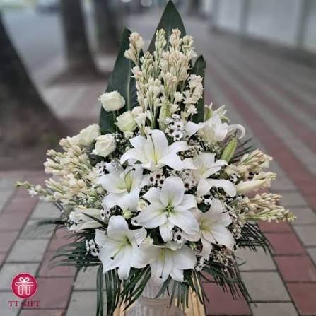 عکس گل لیلیوم سفید