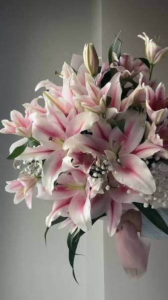  عکس گل لیلیوم صورتی برای پروفایل