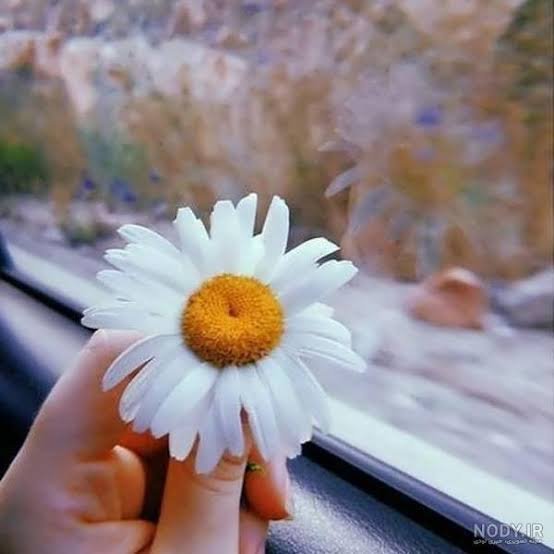  عکس ترند پروف