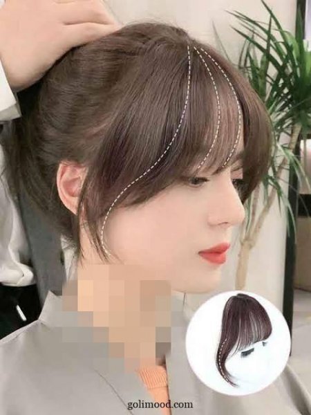  انواع چتری