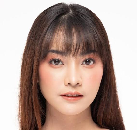  انواع چتری