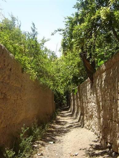  عکس کوچه قدیمی
