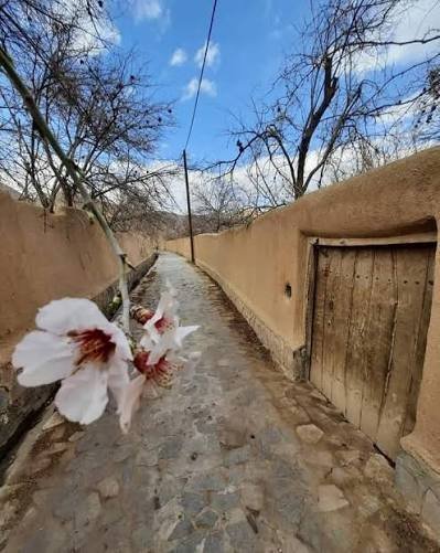  عکس کوچه خلوت