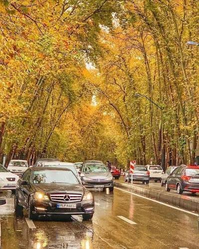  عکس خیابان بارانی