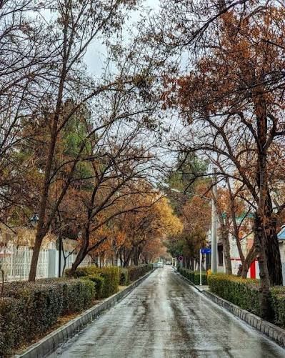  عکس خیابان بارانی