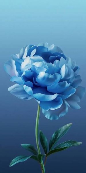  پس زمینه ابی