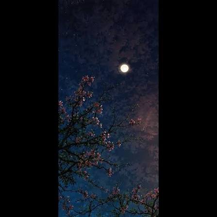  والپیپر شب و روز ایفون