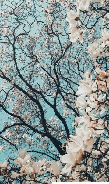  بهترین والپیپر اندروید با کیفیت اولترا اچ دی