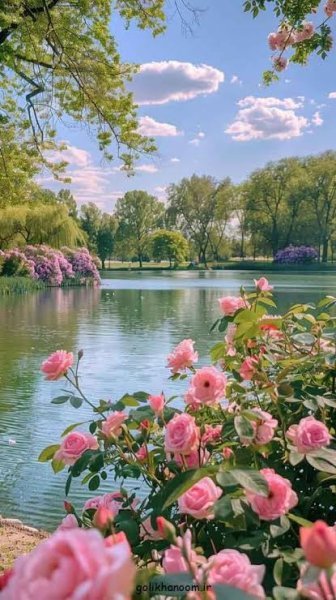  عکس پس زمینه موبایل باکلاس کاملا رایگان