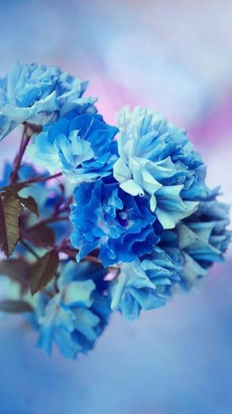  دانلود رایگان بک گراند گوشی باکلاس