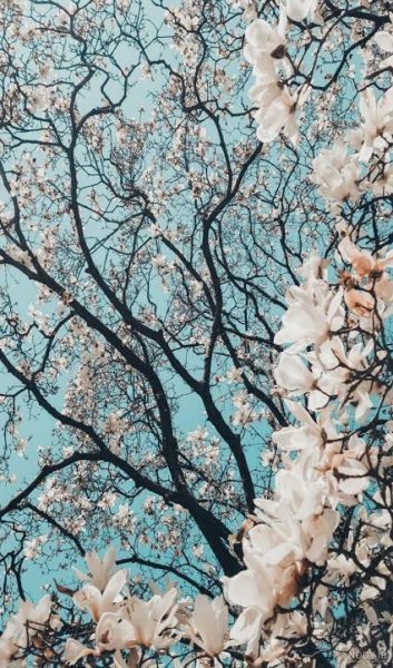  عکس زمینه باکلاس برای موبایل اندروید
