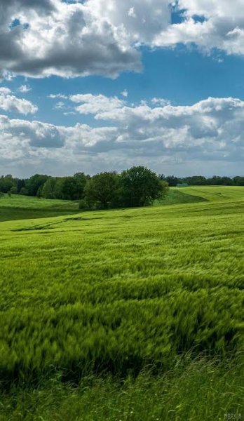  عکس پس زمینه حرفه ای با کیفیت فور کی