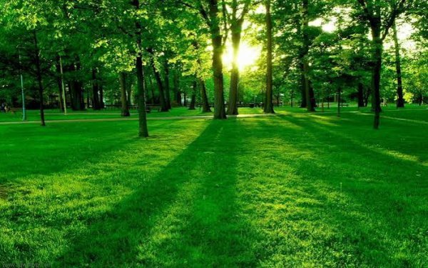  عکس پس زمینه حرفه ای با کیفیت فور کی