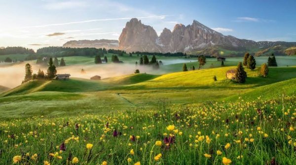  عکس هنری برای بک گراند با کیفیت Full HD