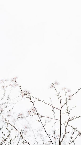  پس زمینه برای ادیت عکس