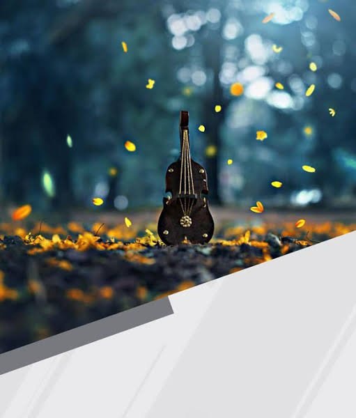  پس زمینه برای عکس