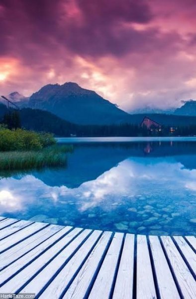  پس زمینه برای عکس