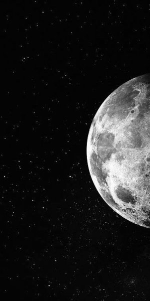  پس زمینه برای عکس