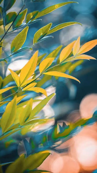  والپیپر گوشی با کیفیت بالا