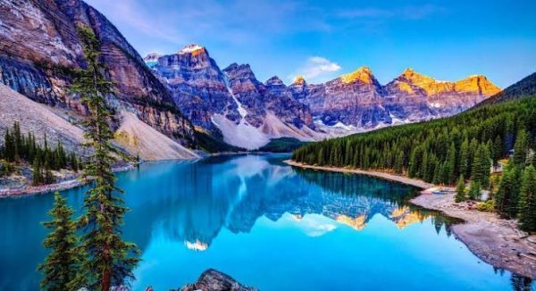  عکس جنگل با کیفیت 4k