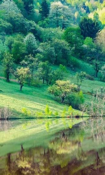  بک گراند شگفت انگیز گوشی با کیفیت 4K