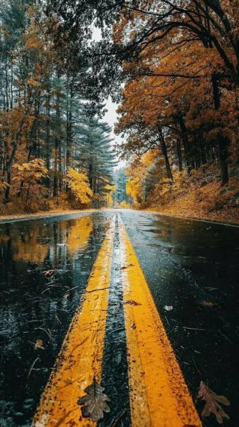  بک گراند شگفت انگیز گوشی با کیفیت 4K