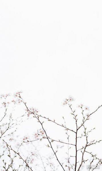  تصویر زمینه مینیمال و خاص با کیفیت بالا