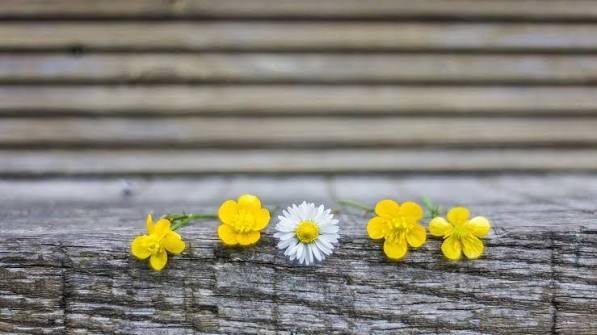  والپیپر با کیفیت فوق العاده برای دسکتاپ
