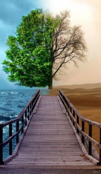  بهترین والپیپرهای زیبا و جذاب با کیفیت فول اچ دی