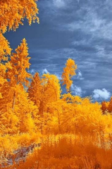  عکس های والپیپر هنری با کیفیت فوق العاده