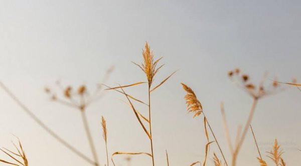  زیباترین والپیپرهای مینیمال