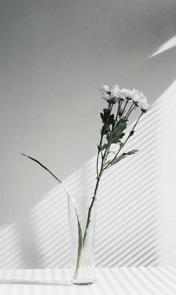  زیباترین والپیپرهای مینیمال
