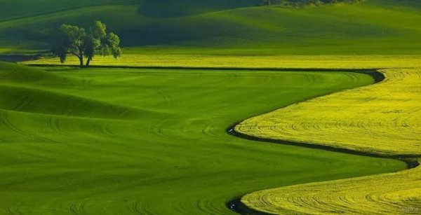  عکس های والپیپر جدید برای کامپیوتر با کیفیت HD