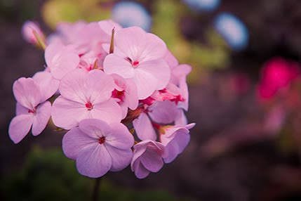  عکس های والپیپر جدید برای کامپیوتر با کیفیت HD