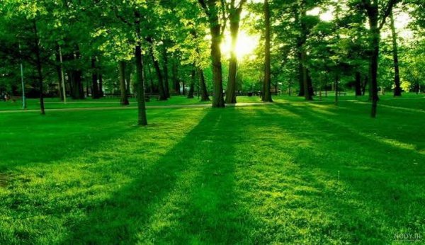  عکس پس زمینه دسکتاپ زیبا و مدرن