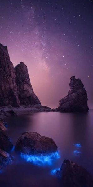  تصویر زمینه جدید شیائومی 15 با کیفیت بالا