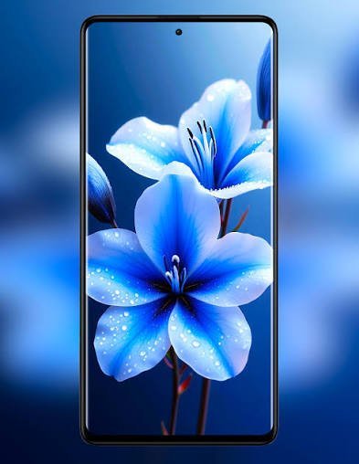  تصویر زمینه جدید شیائومی 15 با کیفیت بالا
